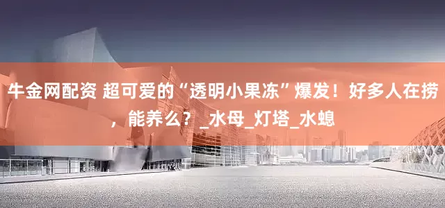 牛金网配资 超可爱的“透明小果冻”爆发！好多人在捞，能养么？_水母_灯塔_水螅
